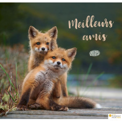 CALENDRIER MEILLEURS AMIS 2025