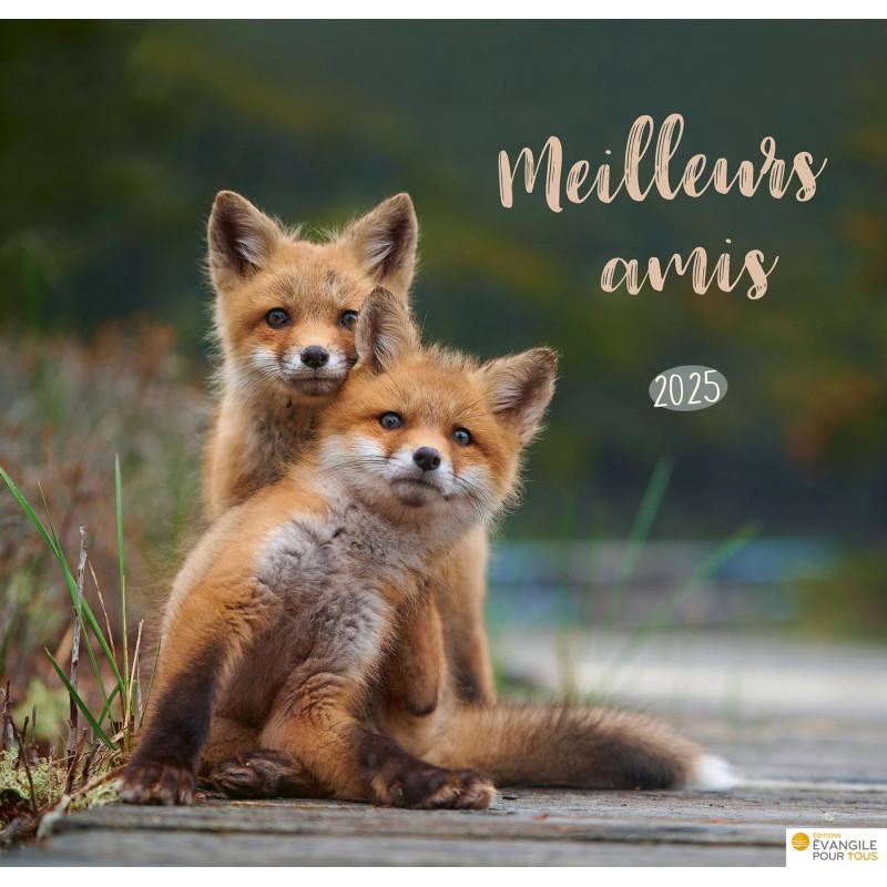 CALENDRIER MEILLEURS AMIS 2025