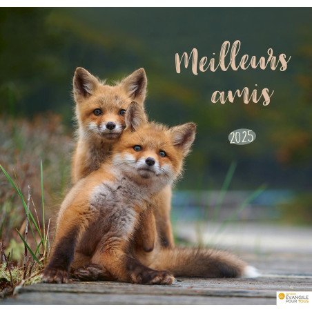 CALENDRIER MEILLEURS AMIS 2025
