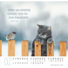 CALENDRIER MEILLEURS AMIS 2025