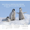 CALENDRIER MEILLEURS AMIS 2025