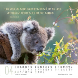 CALENDRIER MEILLEURS AMIS 2025