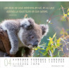 CALENDRIER MEILLEURS AMIS 2025