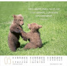 CALENDRIER MEILLEURS AMIS 2025