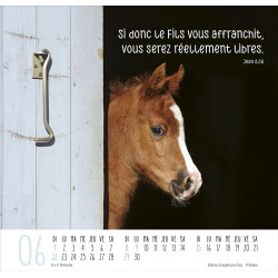 CALENDRIER MEILLEURS AMIS 2025