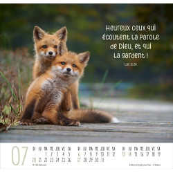 CALENDRIER MEILLEURS AMIS 2025