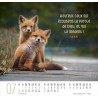 CALENDRIER MEILLEURS AMIS 2025