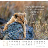 CALENDRIER MEILLEURS AMIS 2025