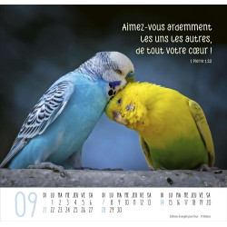CALENDRIER MEILLEURS AMIS 2025
