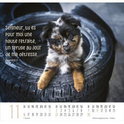 CALENDRIER MEILLEURS AMIS 2025