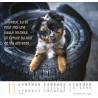 CALENDRIER MEILLEURS AMIS 2025