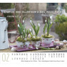 CALENDRIER HARMONIE 2025