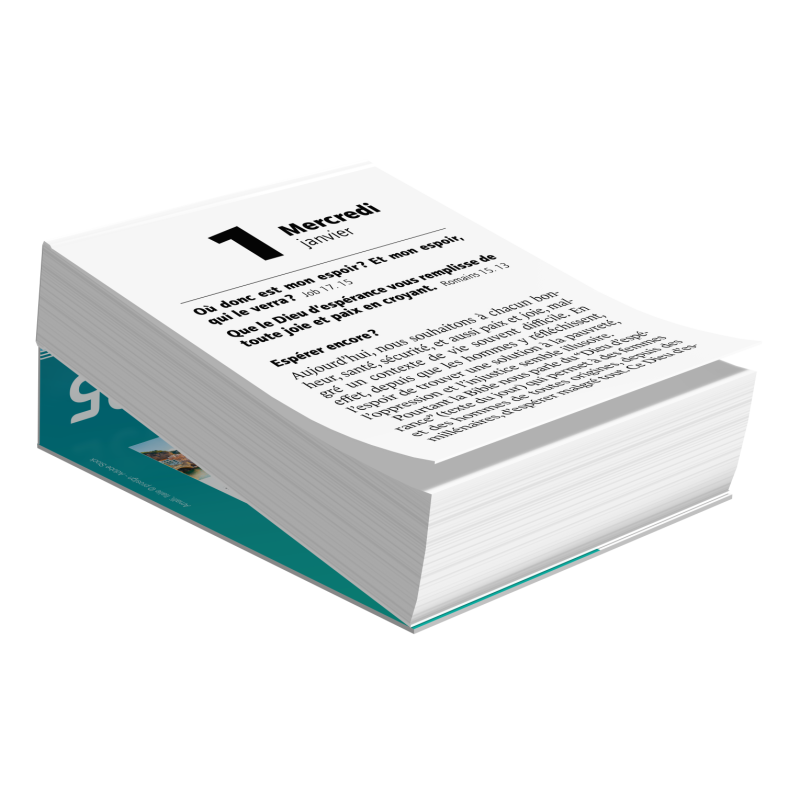 LA BONNE SEMENCE SUPPORT PLIANT 2025