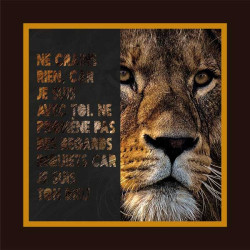 LION NE CRAINS RIEN CAR JE...