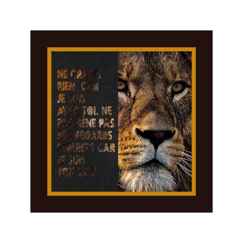 LION NE CRAINS RIEN CAR JE SUIS AVEC TOI ES.41-10