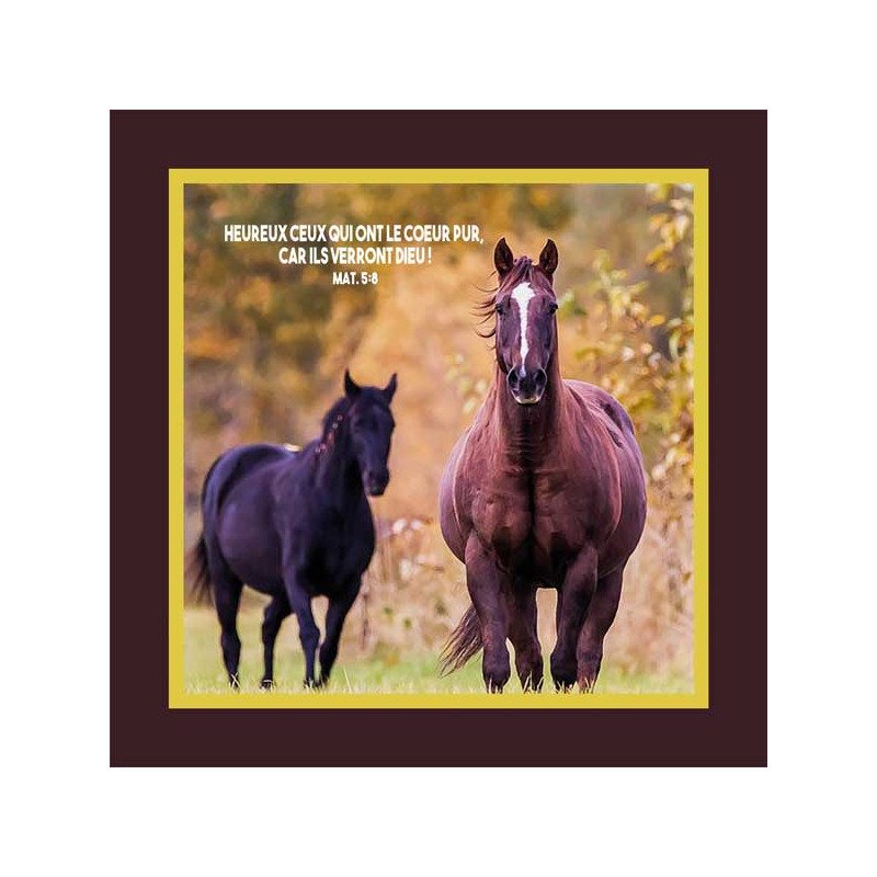 CHEVAUX DANS UN PRE MAT.5-8