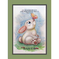AMITIE LAPIN PROVERBES 3-32