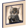 CHATON PHOTOGRAPHE ZACHARIE 2.8