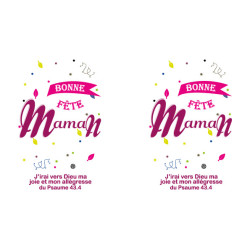 TYPO BONNE FÊTE MAMAN GOURDE ALU 600 ML