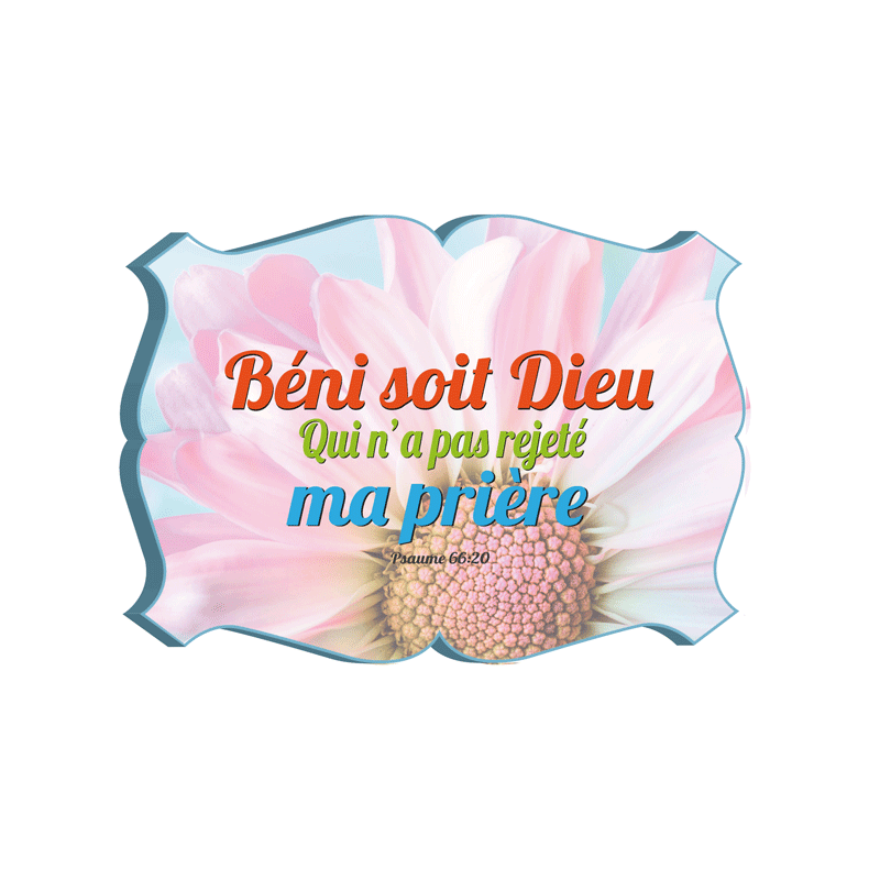 CADRE BOIS THEME FLORAL PS.66.20