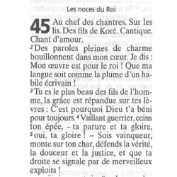 BIBLE GROS CARACTERE