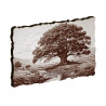 ARBRE PRES D'UN COURANT D'EAU "PS.1.3"