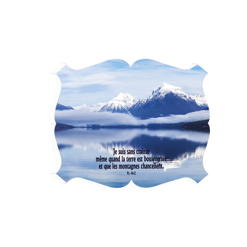 CADRE BOIS PAYSAGE ENNEIGE. BLANC