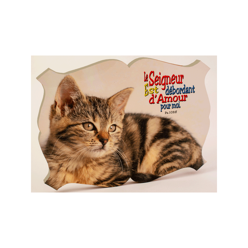 CADRE BOIS THEME ANIMAUX CHATON. SABLE