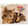 CADRE BOIS THEME ANIMAUX CHATON. SABLE