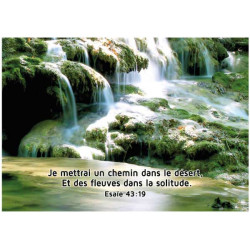 THEME NATURE TORRENT...