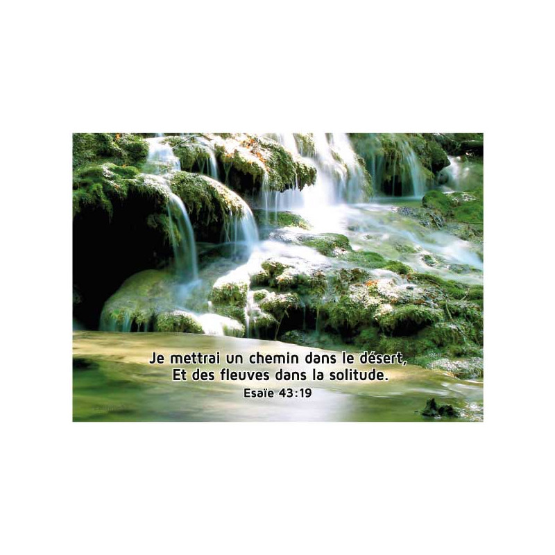 THEME NATURE TORRENT BUCOLIQUE AFFICHE LAMINEE