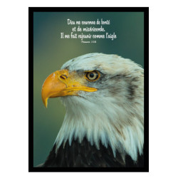 THEME OISEAU AIGLE AFFICHE LAMINEE. NOIR