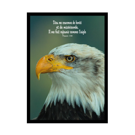 THEME OISEAU AIGLE AFFICHE LAMINEE. NOIR