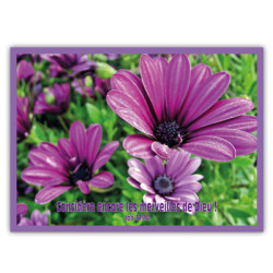 THEME FLORAL AFFICHE LAMINEE.  PARME