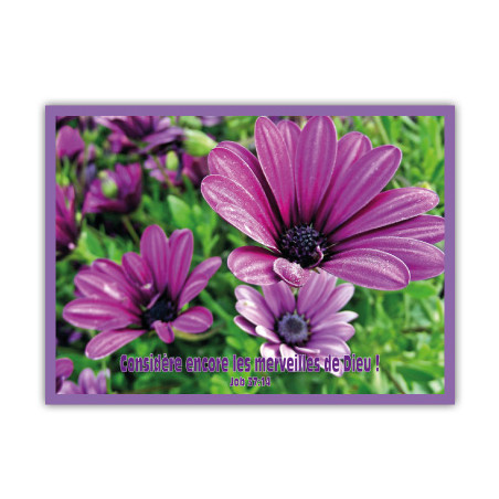 THEME FLORAL AFFICHE LAMINEE.  PARME