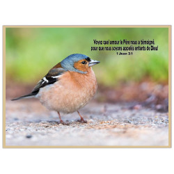 THEME OISEAU MESANGE AFFICHE LAMINEE. SABLE