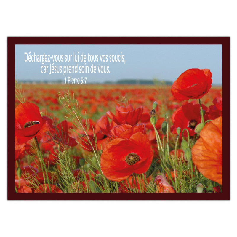 THEME FLORAL COQUELICOTS AFFICHE LAMINEE. ROUGE GRIOTTE