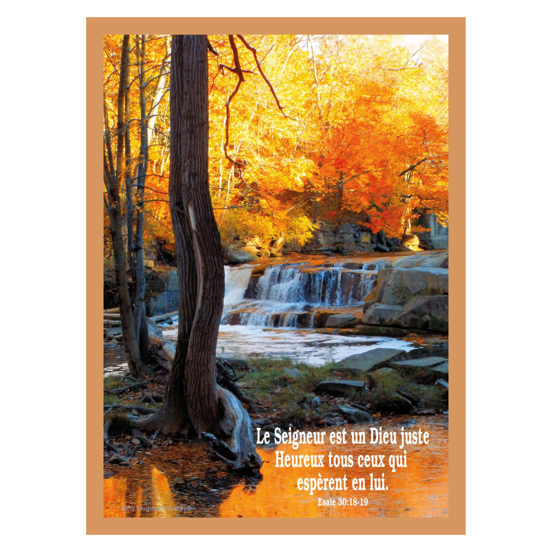 THEME NATURE TORRENT SOUS-BOIS AFFICHE LAMINEE. OCRE GUADELOUPE