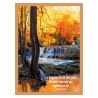 THEME NATURE TORRENT SOUS-BOIS AFFICHE LAMINEE. OCRE GUADELOUPE