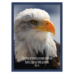 THEME OISEAU AIGLE FOND BLEU AFFICHE LAMINEE. BLEU GROSEILLE