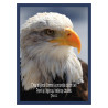 THEME OISEAU AIGLE FOND BLEU AFFICHE LAMINEE. BLEU GROSEILLE