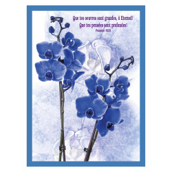 THEME FLORAL ORCHIDEES AFFICHE LAMINEE. BLEU DES ÎLES