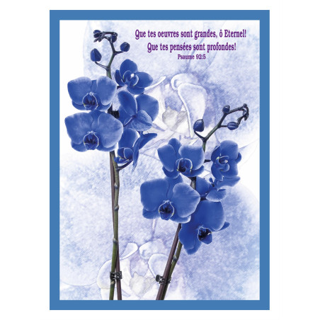 THEME FLORAL ORCHIDEES AFFICHE LAMINEE. BLEU DES ÎLES