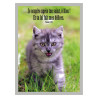 THEME ANIMAUX CHATON AFFICHE LAMINEE. GRIS HIVERNAL