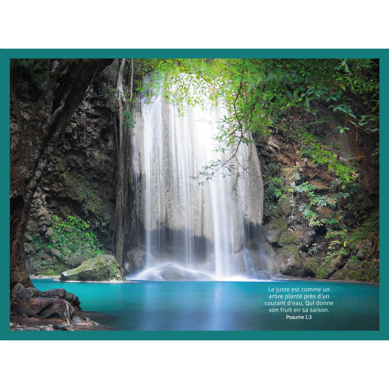 TORRENT ET SOUS BOIS LE JUSTE EST COMME... PS.1.3. BLEU ALPAGE