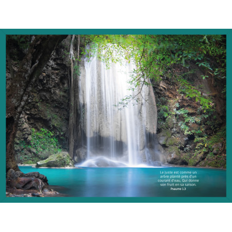 TORRENT ET SOUS BOIS LE JUSTE EST COMME... PS.1.3. BLEU ALPAGE