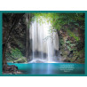TORRENT ET SOUS BOIS LE JUSTE EST COMME... PS.1.3. BLEU ALPAGE