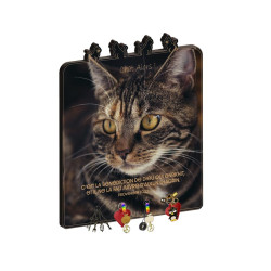 CHAT ALORS ! ACCR.CLES...