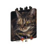 CHAT ALORS ! ACCR.CLES ANIMAUX C'EST LA BENEDICTION