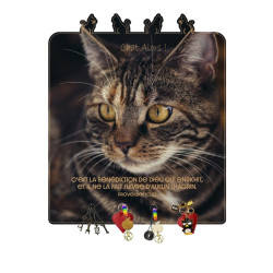 CHAT ALORS ! ACCR.CLES ANIMAUX C'EST LA BENEDICTION